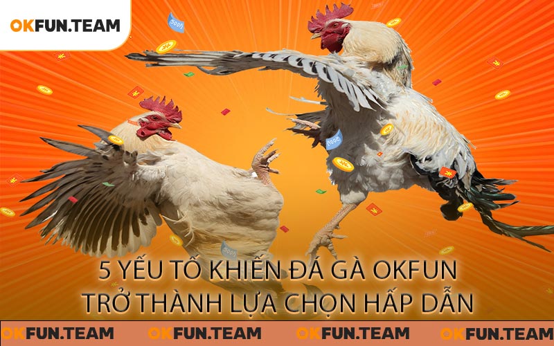 Đá Gà OKFUN - Trận Đấu Kịch Tính, Cơ Hội Chốt Kèo Hấp Dẫn