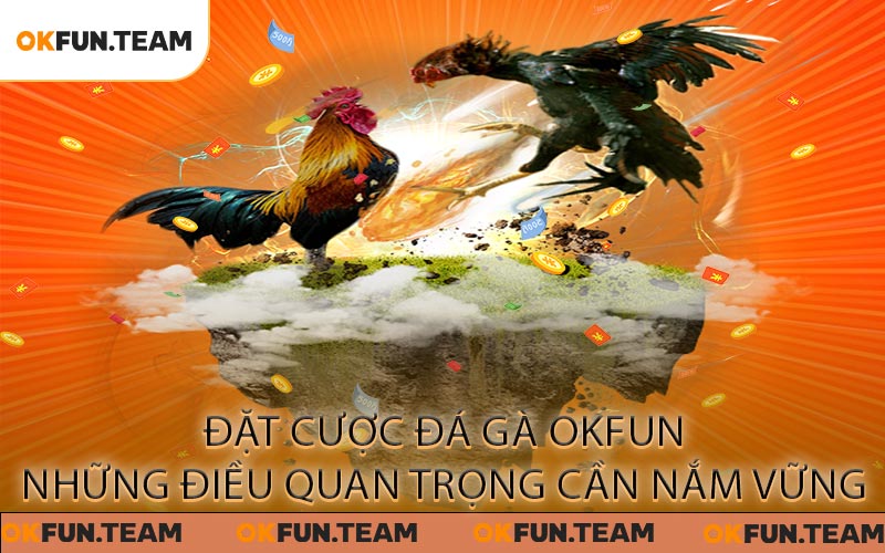 Đá Gà OKFUN - Trận Đấu Kịch Tính, Cơ Hội Chốt Kèo Hấp Dẫn
