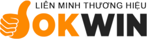 Đá Gà OKFUN - Trận Đấu Kịch Tính, Cơ Hội Chốt Kèo Hấp Dẫn