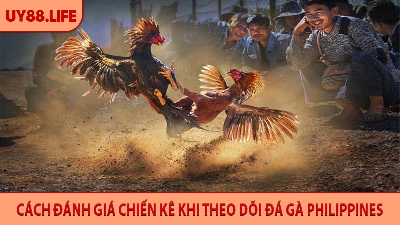 Đá Gà Philippines - Trải Nghiệm Đấu Kê Trực Tuyến Kịch Tính
